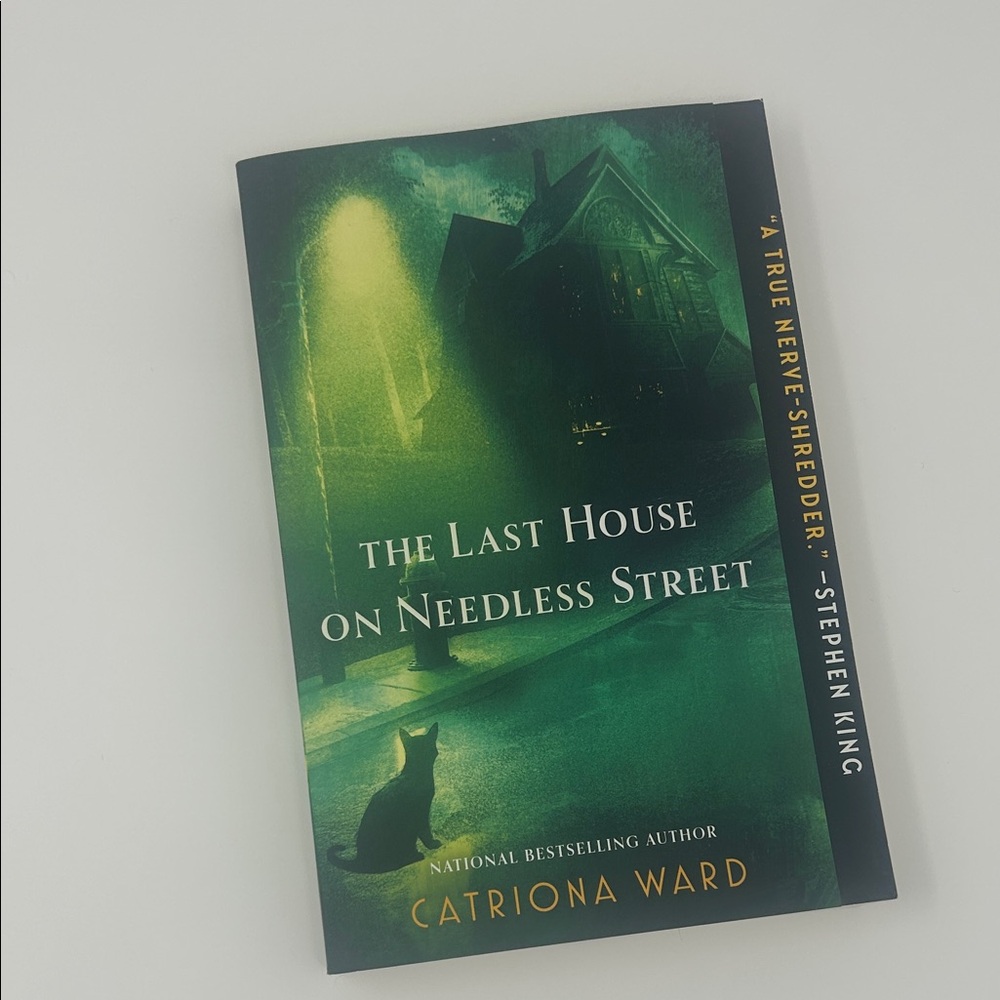 The Last House on Needless Street Book